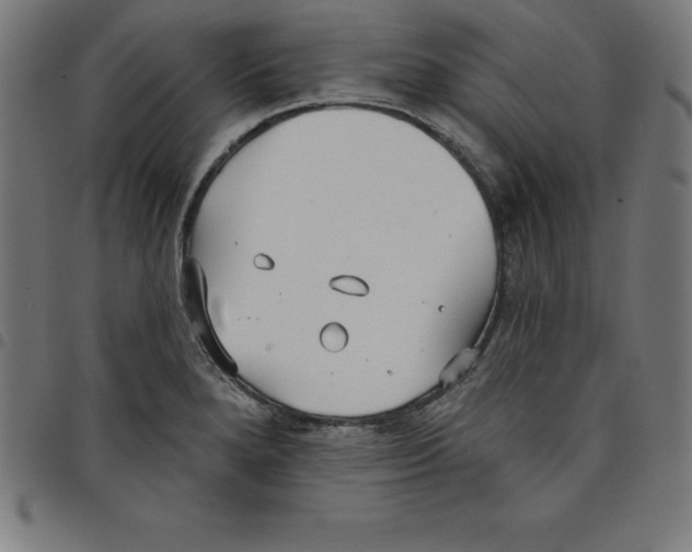 X0000098051280200804251054