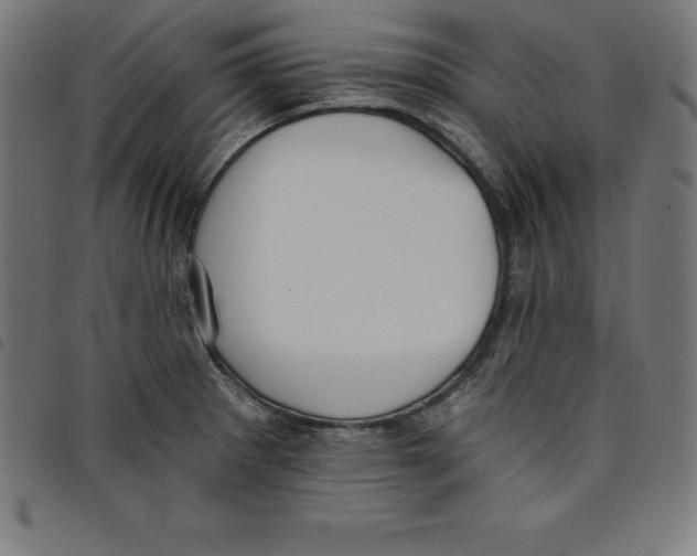 X0000098051281200804251054