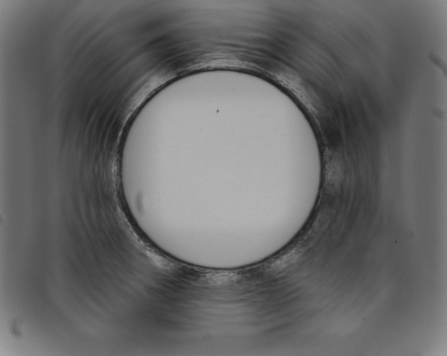 X0000098051282200804251054