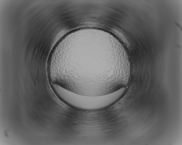 X0000098051283200804251054