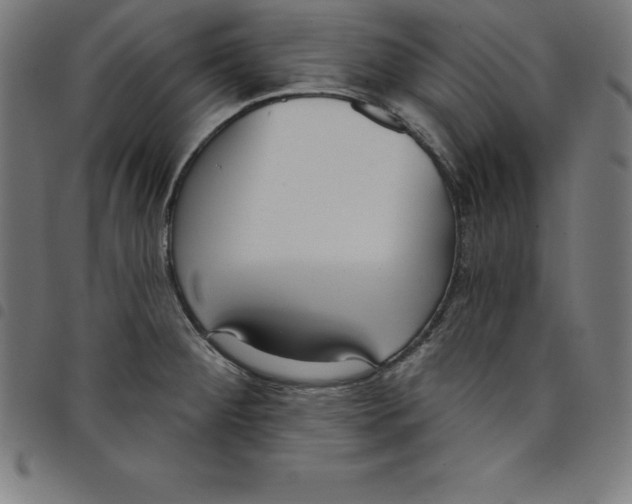 X0000098051284200804251054