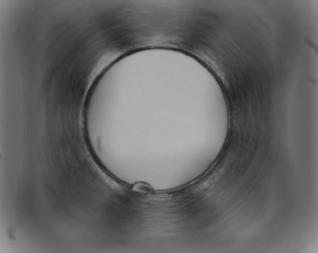 X0000098051285200804251054