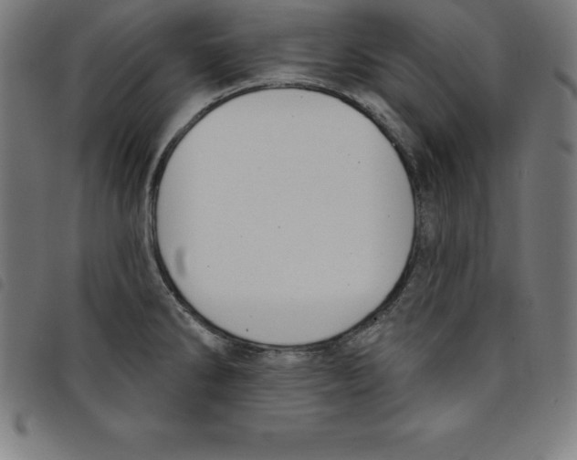 X0000098051286200804251054