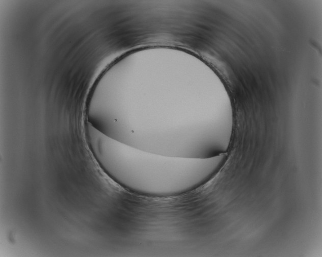 X0000098051288200804251054