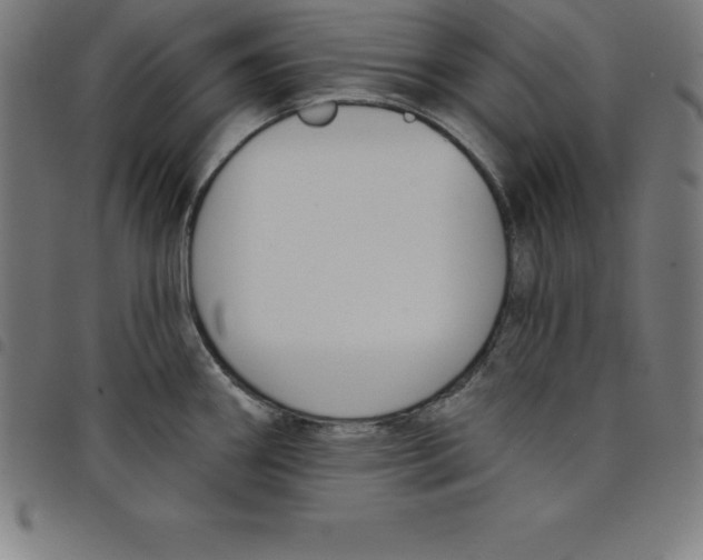 X0000098051290200804251054