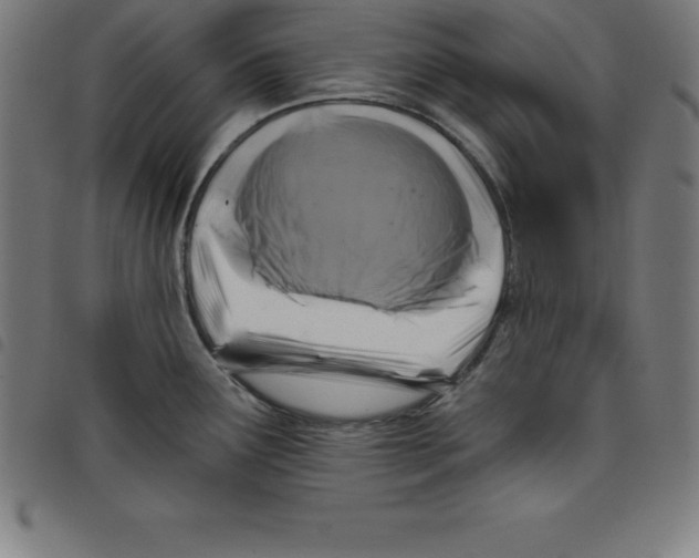 X0000098051291200804251054