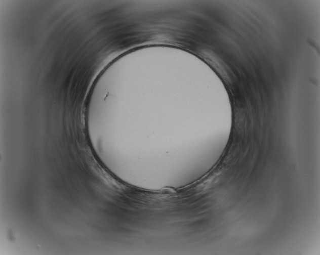 X0000098051292200804251054