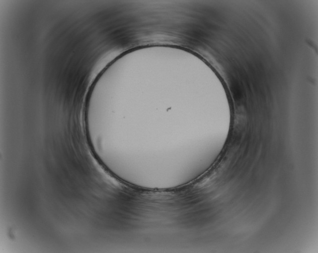 X0000098051293200804251054