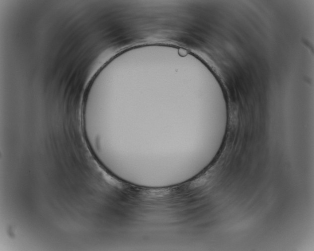 X0000098051294200804251054