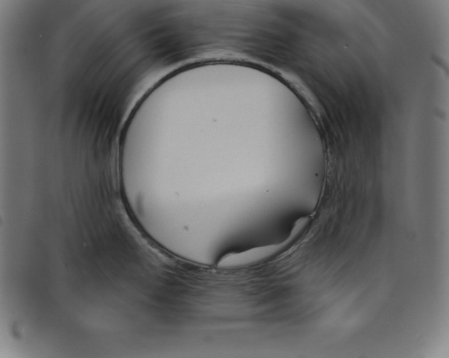 X0000098051295200804251054