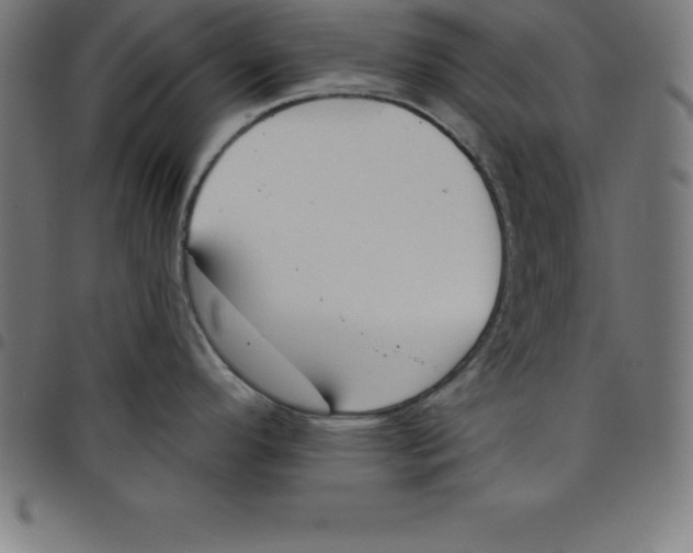 X0000098051296200804251054