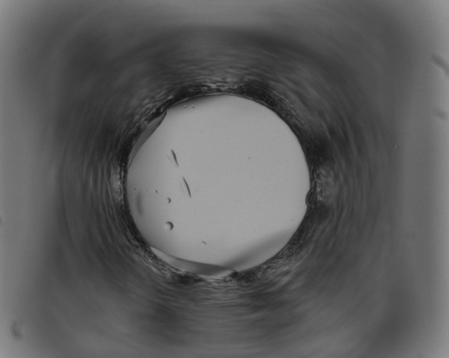 X0000098051298200804251053