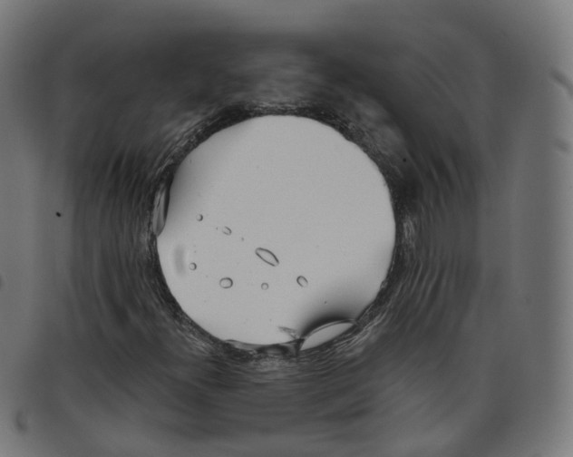 X0000098051300200804251054