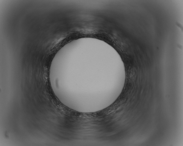 X0000098051301200804251054