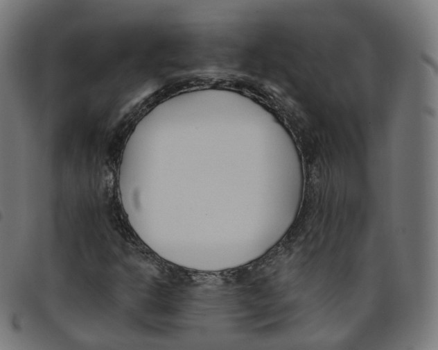 X0000098051302200804251054