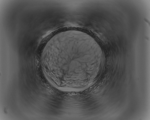 X0000098051303200804251054