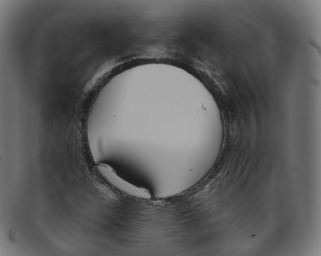 X0000098051304200804251054