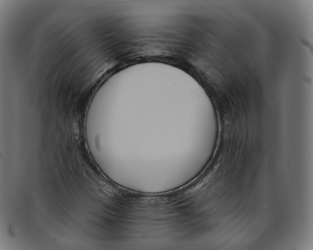 X0000098051305200804251054