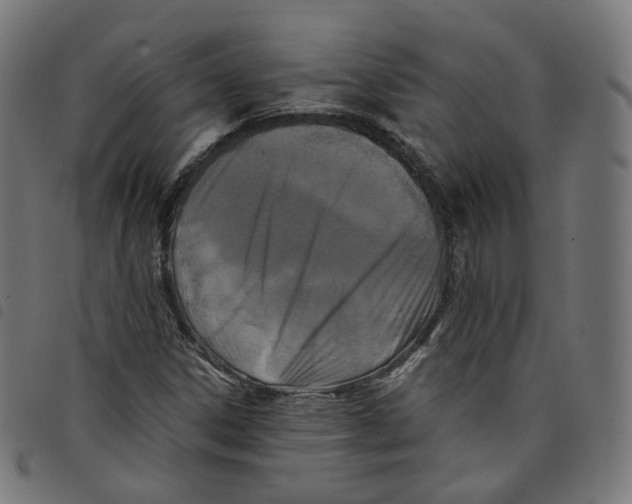 X0000098051306200804251054