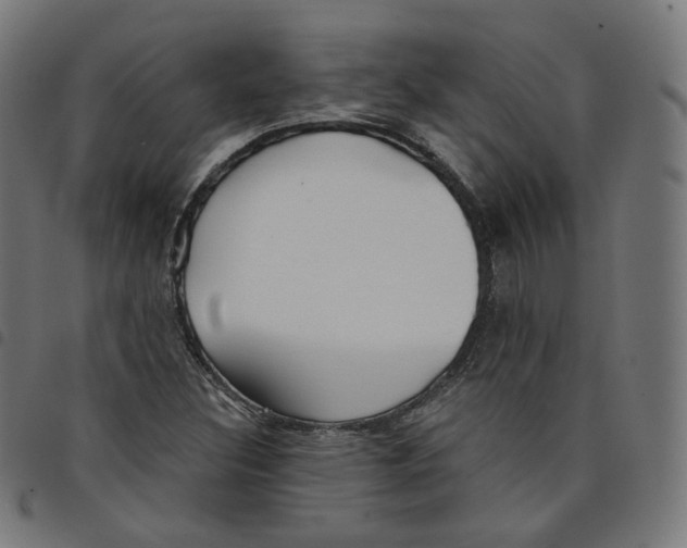 X0000098051308200804251054