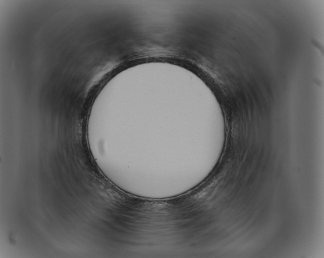 X0000098051309200804251054