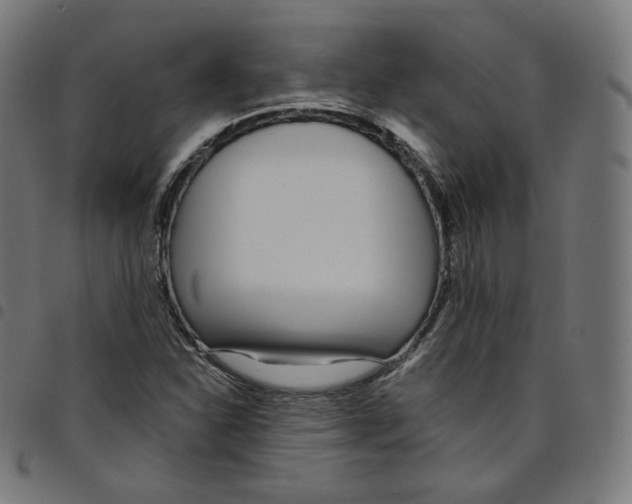 X0000098051310200804251054