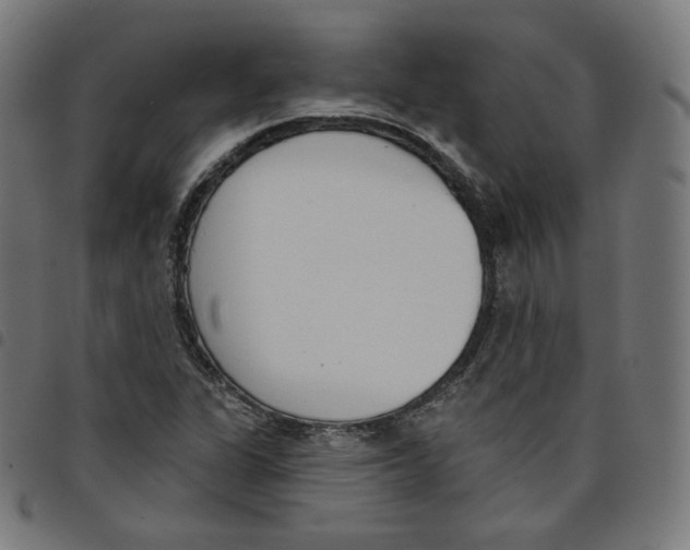 X0000098051311200804251054