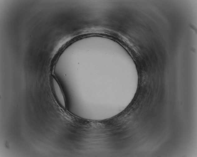 X0000098051312200804251054