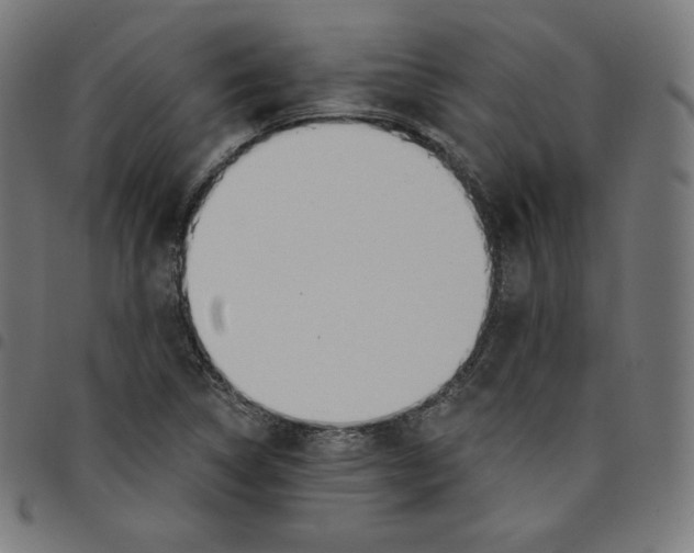 X0000098051314200804251054