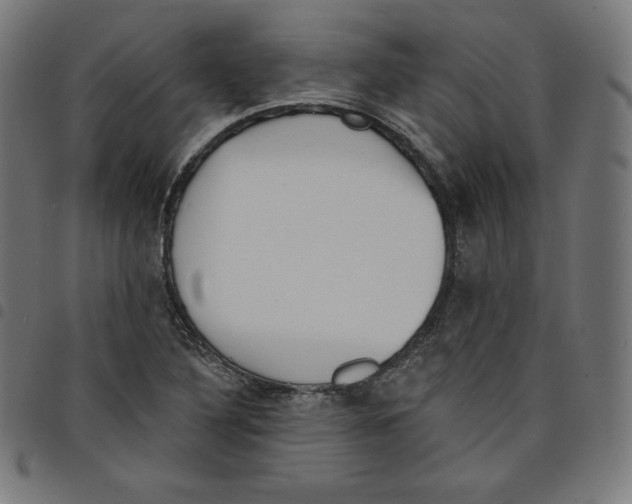 X0000098051316200804251054