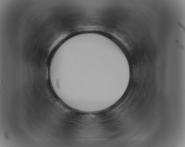 X0000098051317200804251054