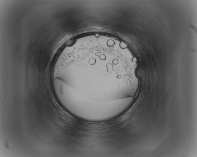 X0000098051318200804251054