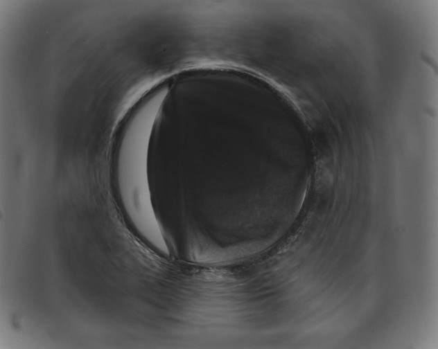 X0000098051319200804251054