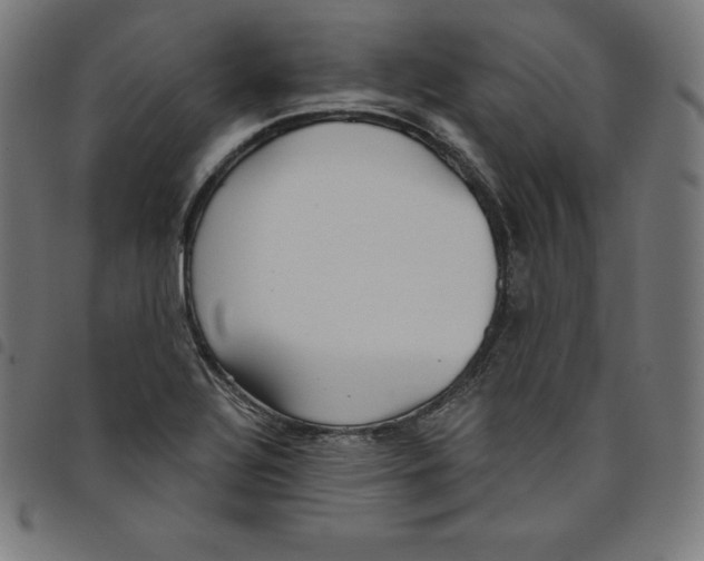 X0000098051320200804251054