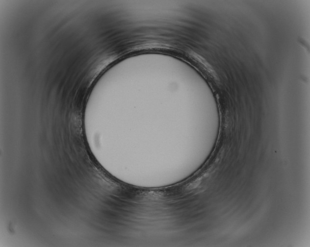 X0000098051321200804251054