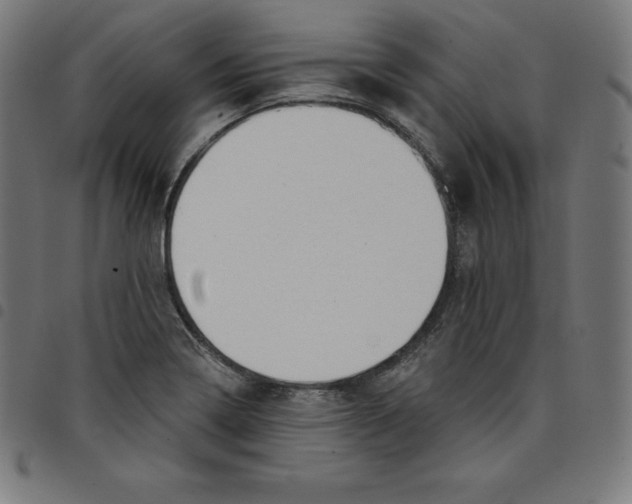 X0000098051322200804251054