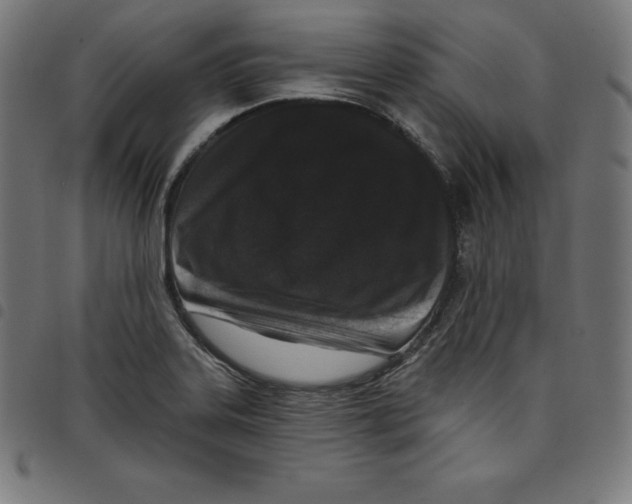 X0000098051323200804251054