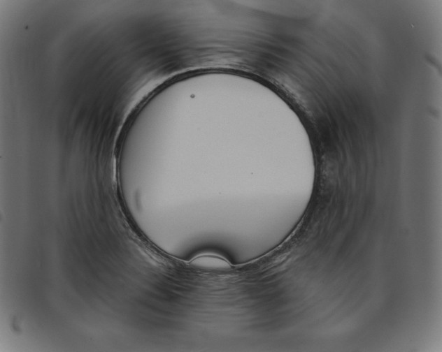 X0000098051324200804251054