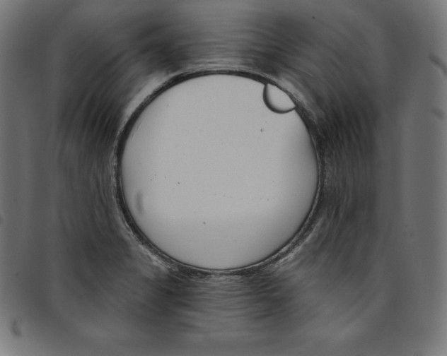 X0000098051325200804251054