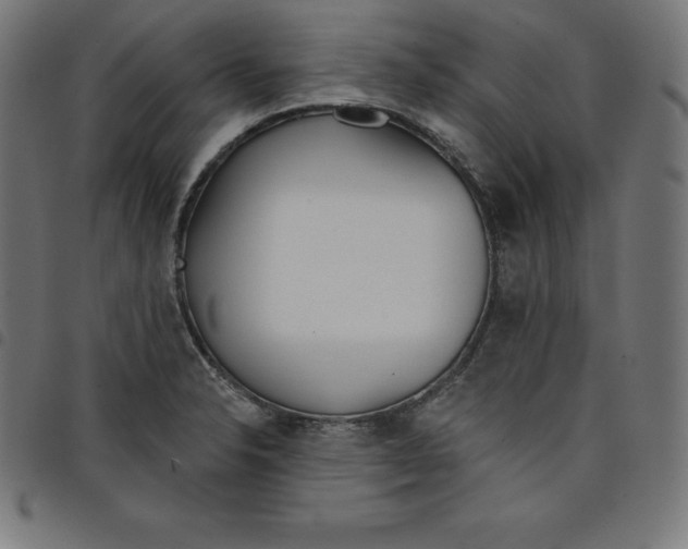 X0000098051326200804251054