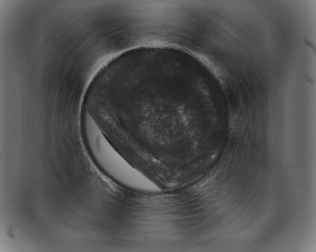 X0000098051327200804251054