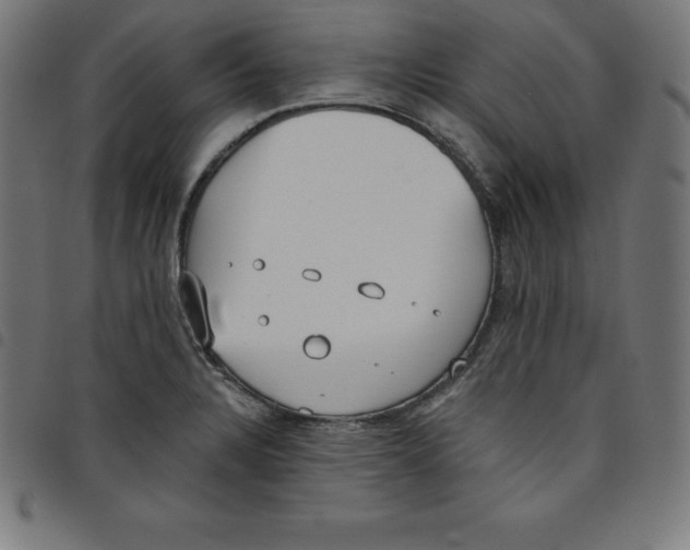 X0000098051328200804251054