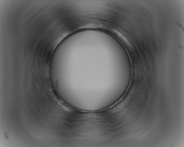 X0000098051329200804251054