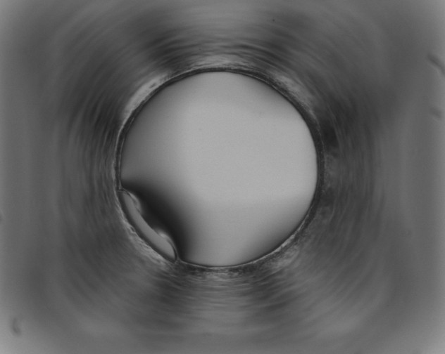 X0000098051330200804251054