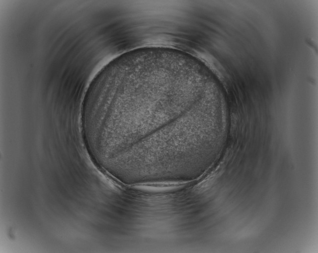 X0000098051331200804251054