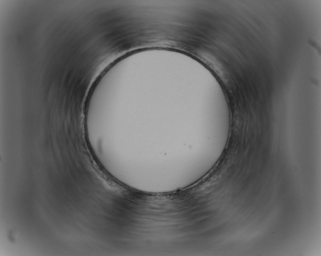 X0000098051332200804251054