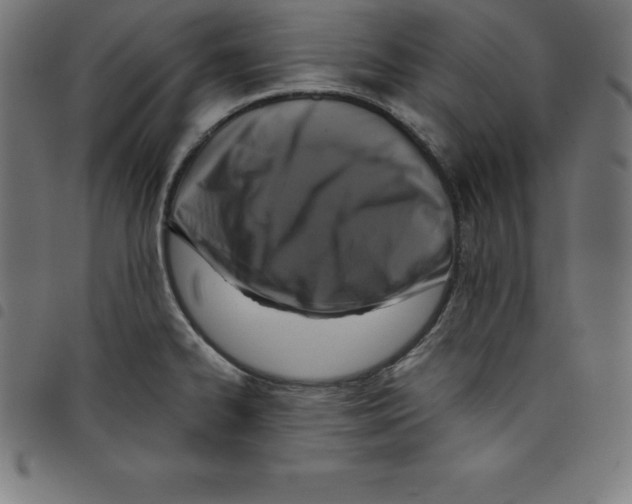 X0000098051334200804251054