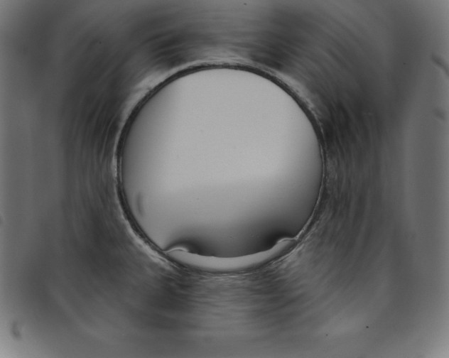 X0000098051335200804251054