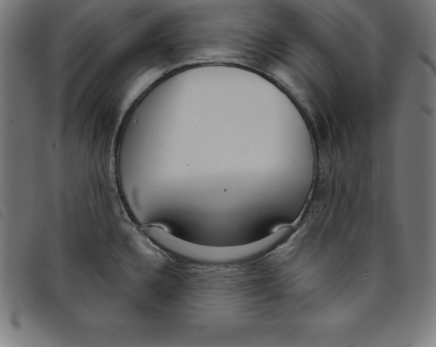 X0000098051336200804251054