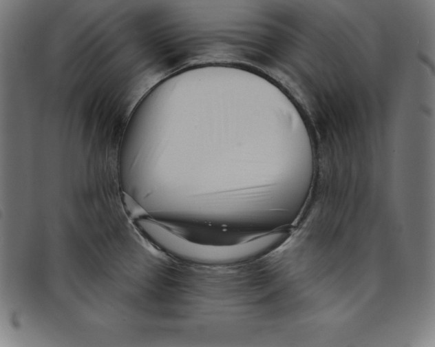 X0000098051337200804251054